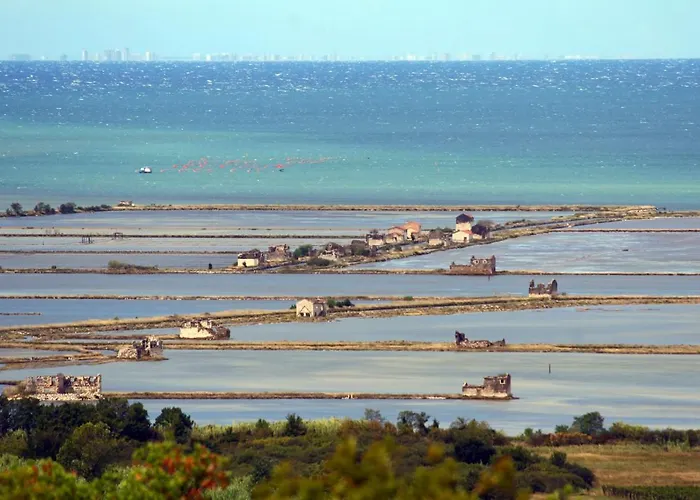 - Stylish Retreat In Daire